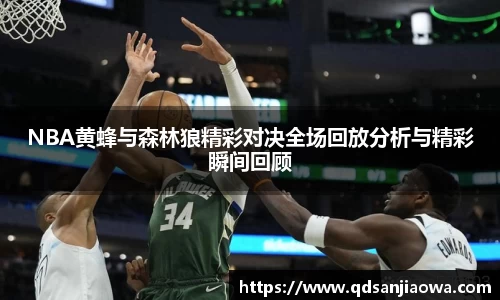 NBA黄蜂与森林狼精彩对决全场回放分析与精彩瞬间回顾